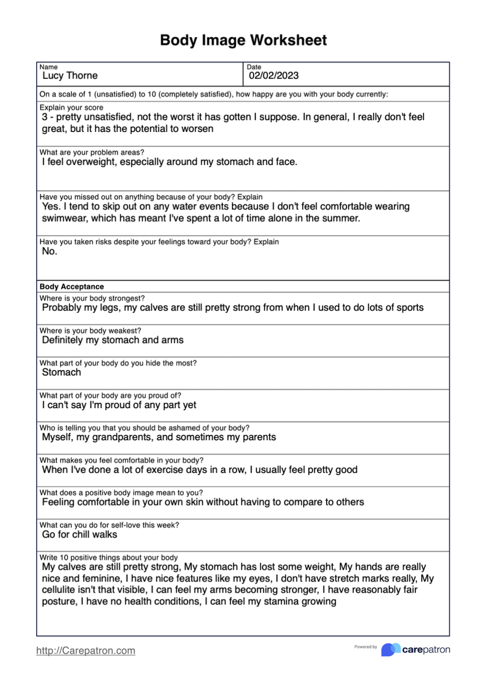 Body Image Worksheet & Example Free PDF Download